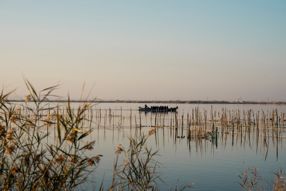 Valencia | L’Albufera (Valencia)