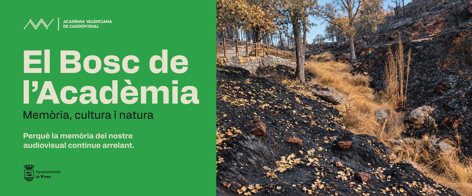El bosque de la Academia